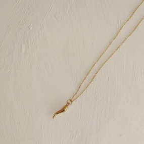 Horn Necklace