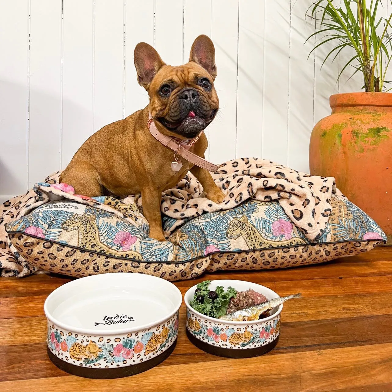 Leopard Luxe - Ceramic Dog Bowls