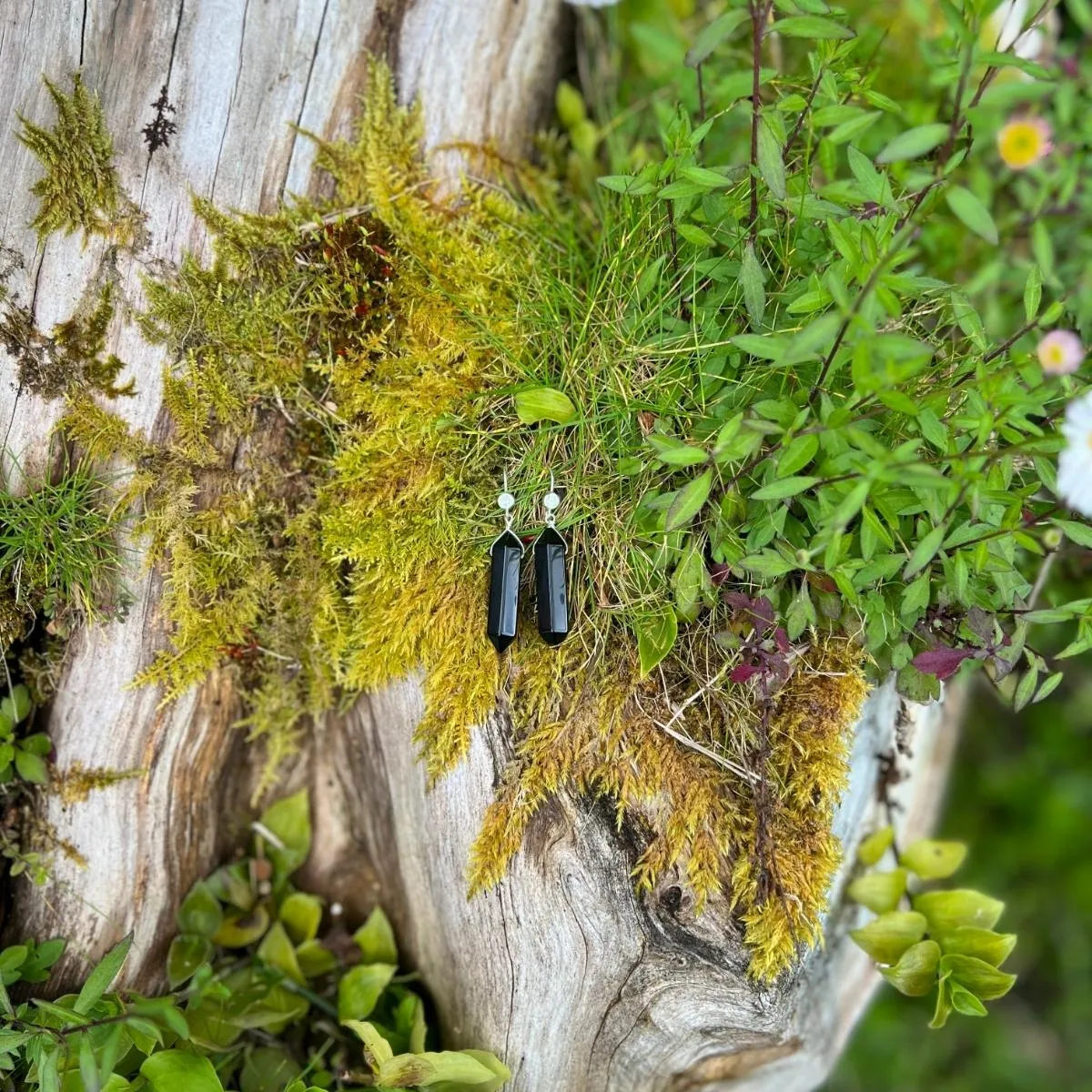 Obsidian Shield Earrings